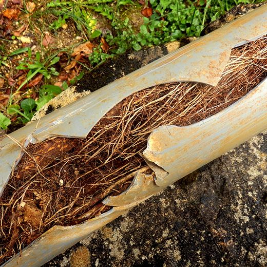 Same Day Drain Sewer & Rooter Pros Across Gilford